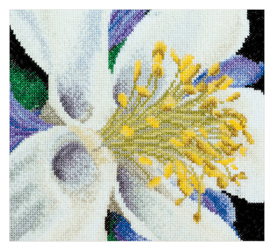Columbine - Aida - 18 - 493A
