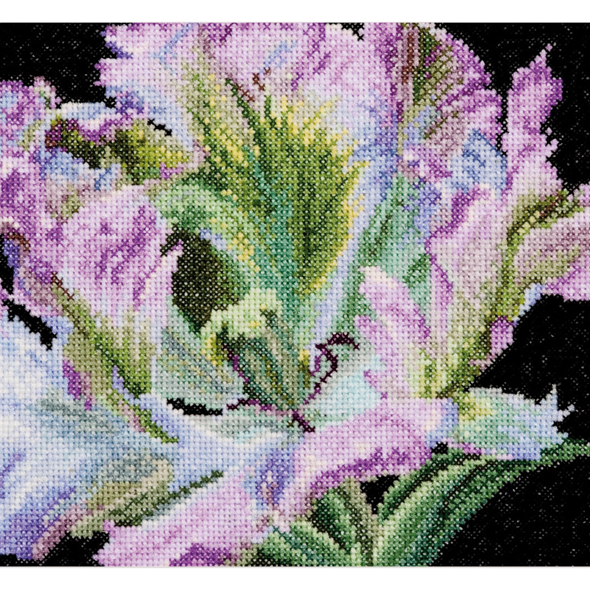 Tulip  - Aida - 18 - 494A