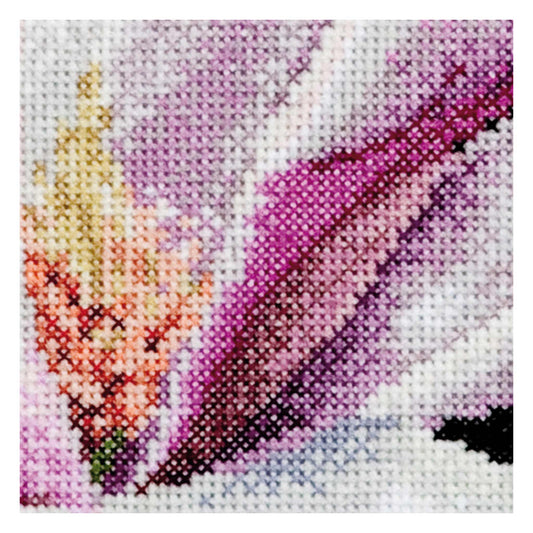 Magnolia  - Aida - 18 - 495A