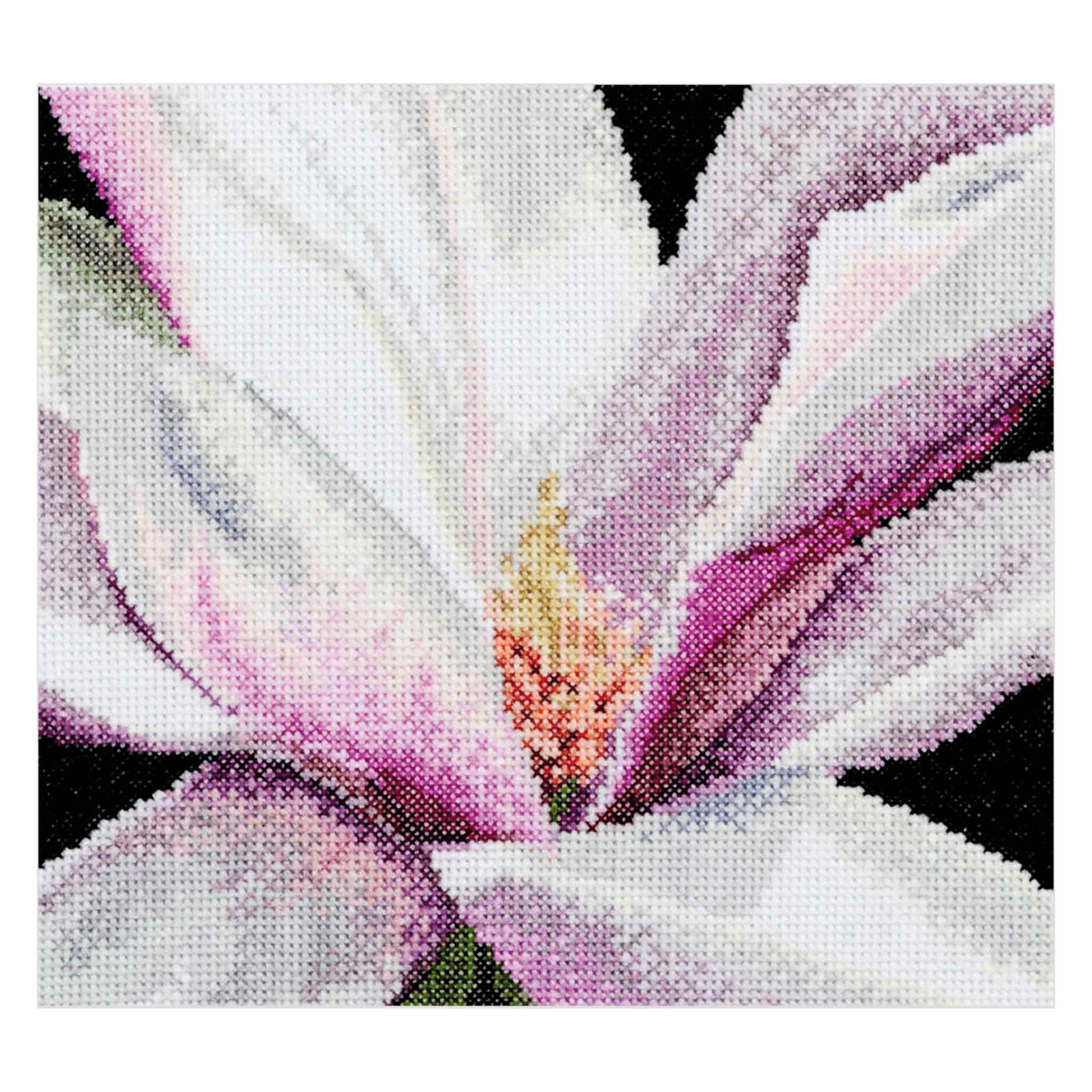 Thea Gouverneur Cross Stitch Kits Flowers Close-Ups Collection