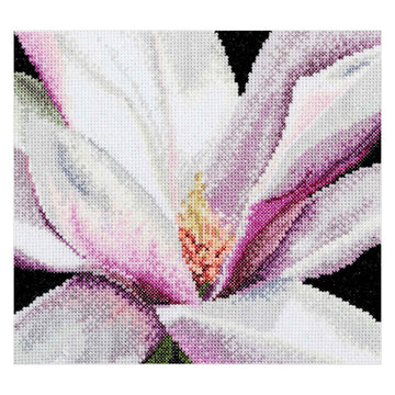 Magnolia  - Aida - 18 - 495A