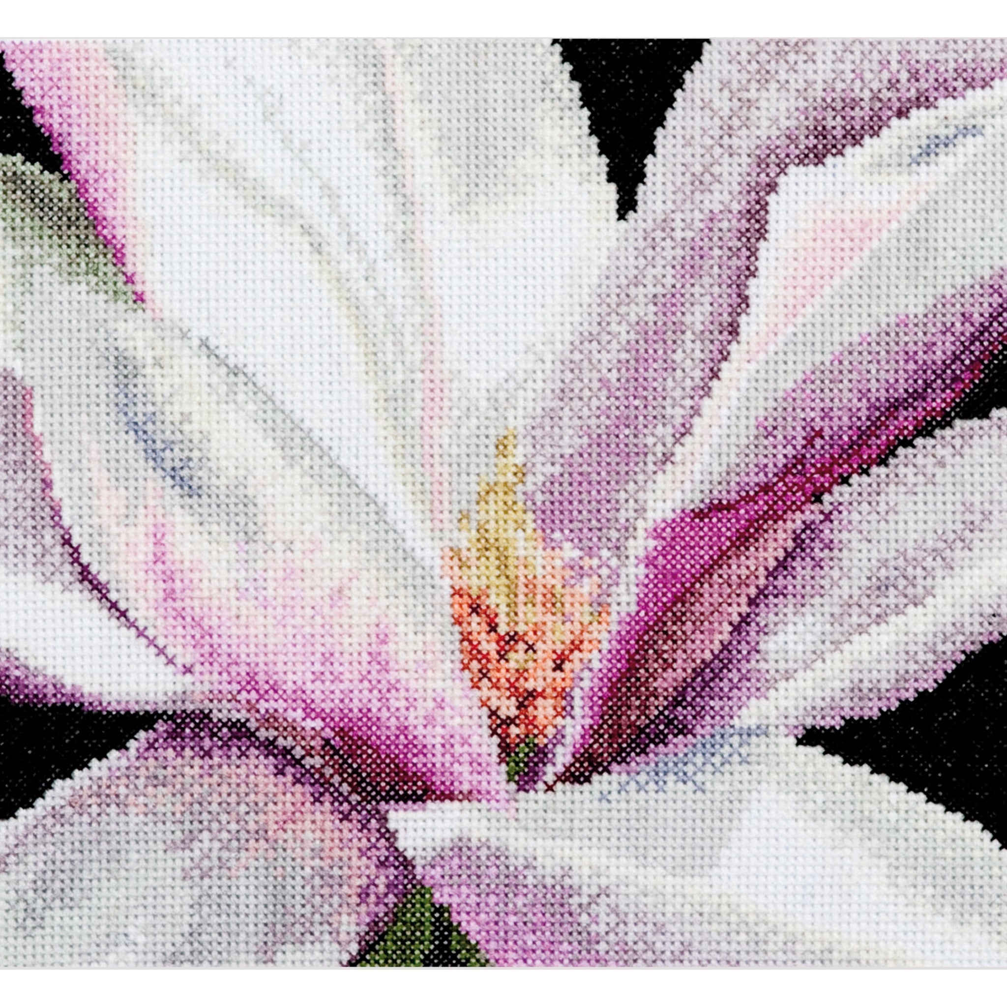 Magnolia  - Aida - 18 - 495A