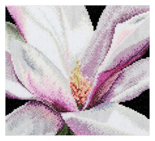Magnolia  - Aida - 18 - 495A