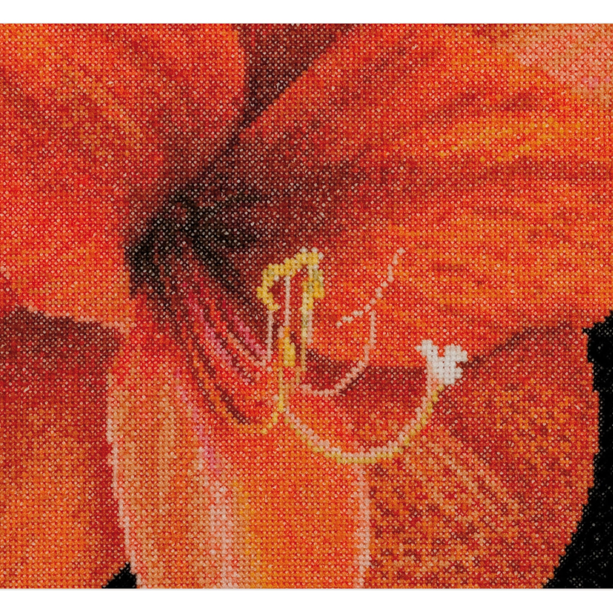 Amaryllis - Aida - 18 stuks - 496A
