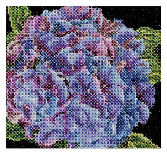 Hydrangea  - Aida - 18 - 497A