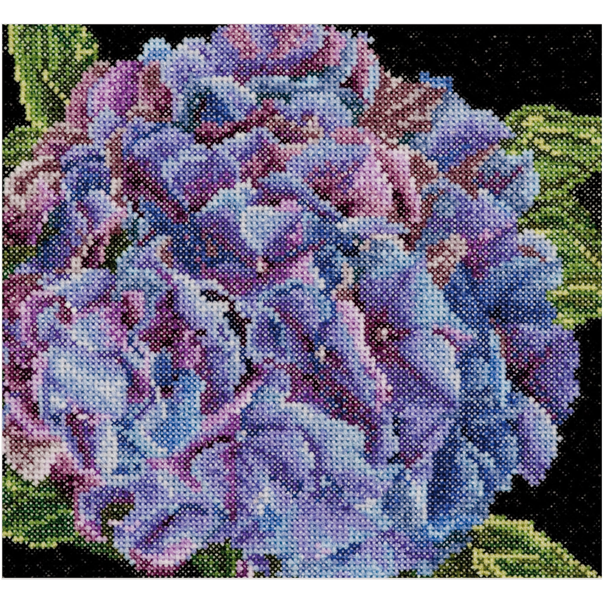 Hortensia - Aida - 18 stuks - 497A