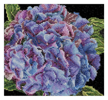Hortensia - Aida - 18 stuks - 497A