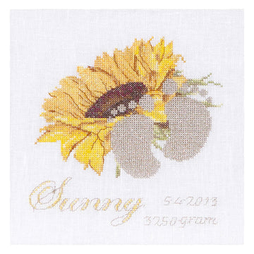 Geburts-Stickmuster Sunny – Aida – 18 – 507A