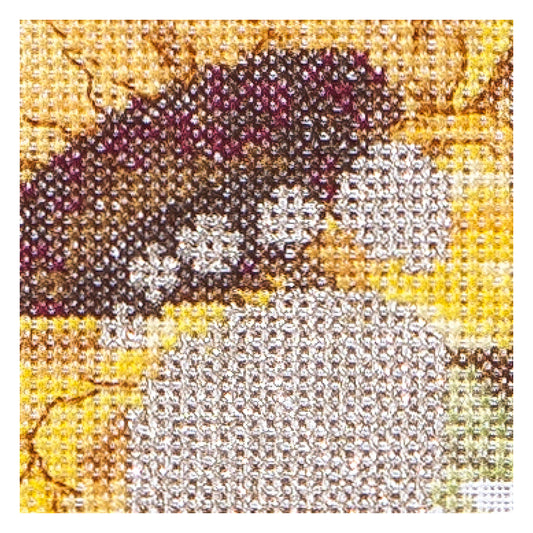 Birth Sampler Sunny - Aida - 18 - 507A