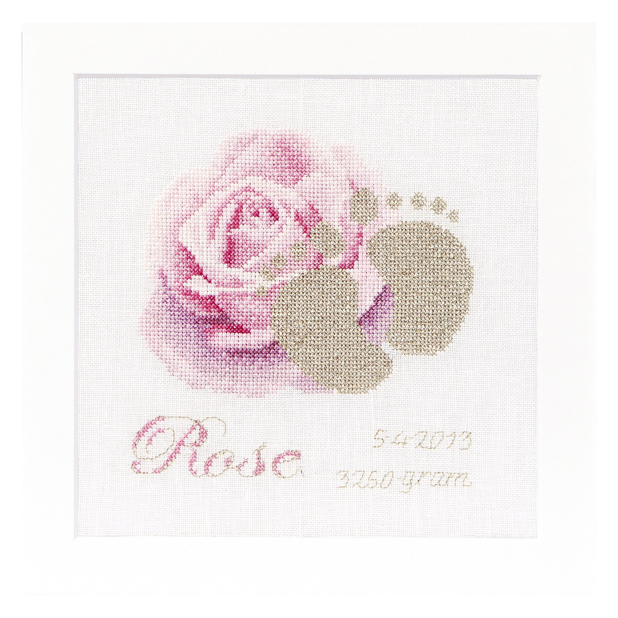Birth Sampler Rose - Aida - 18 - 508A