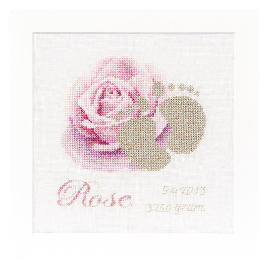 Birth Sampler Rose - Aida - 18 - 508A