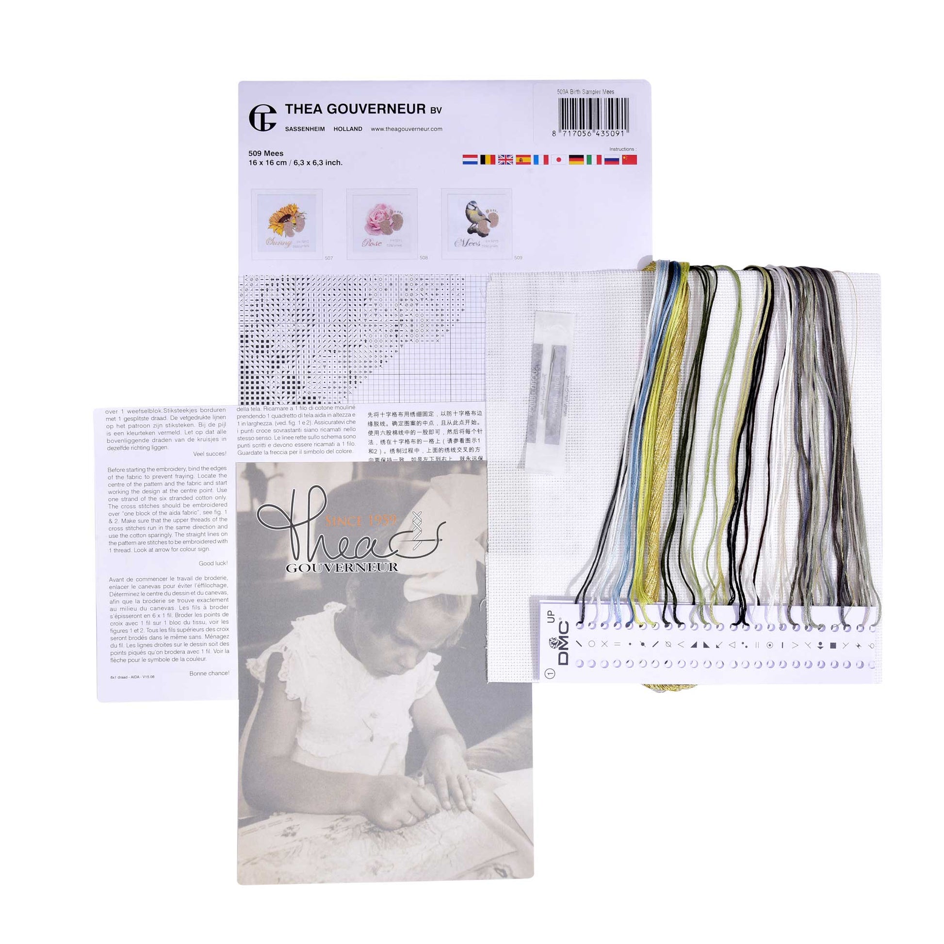 Embroidery kit with pattern and chart, needlework fabric, and dmc floss threads on a white background