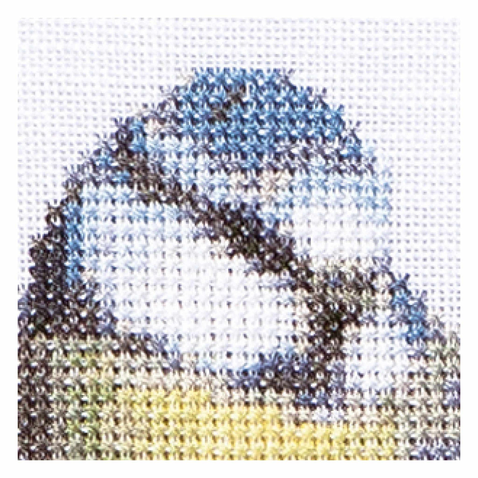 Close up of cross-stitched design birth sample