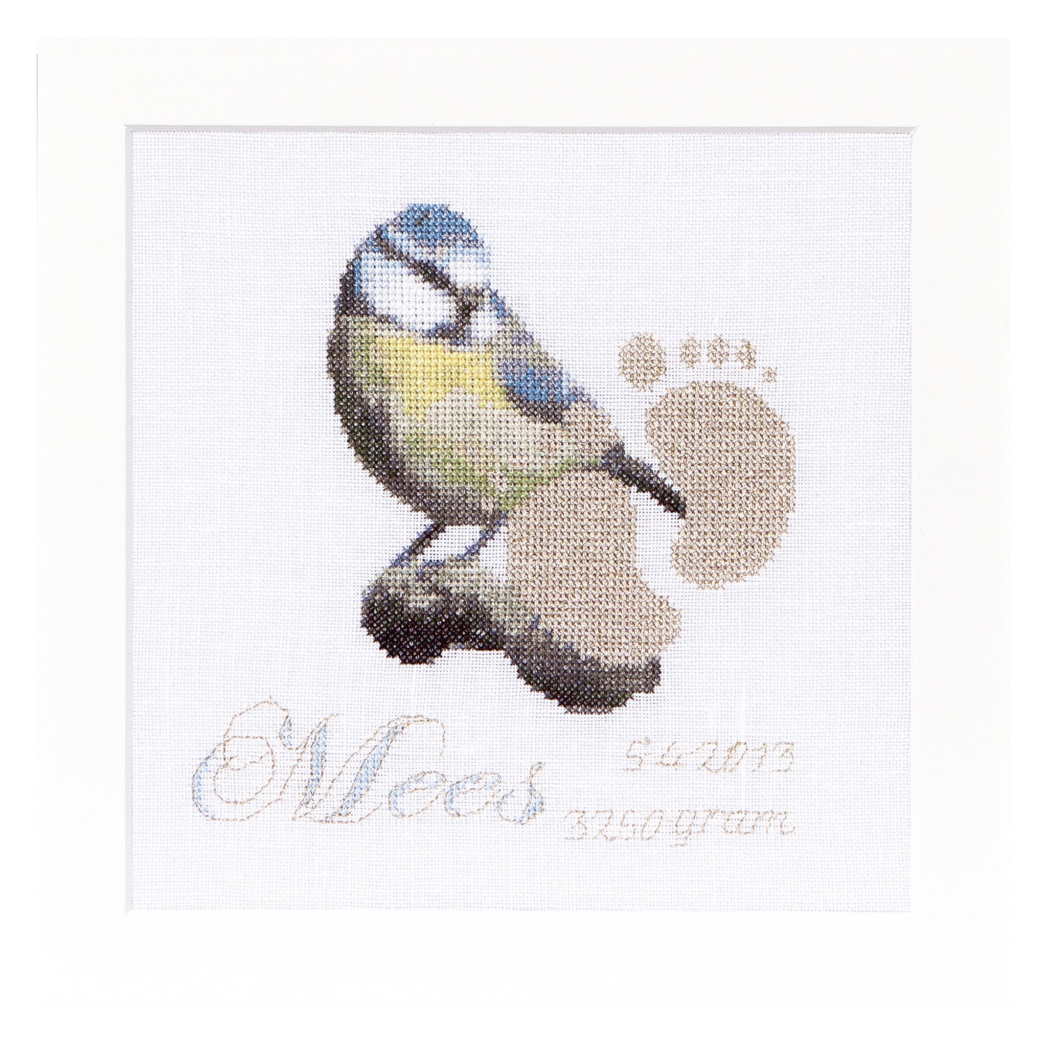 Birth Sampler Tit - Aida - 18 - 509A