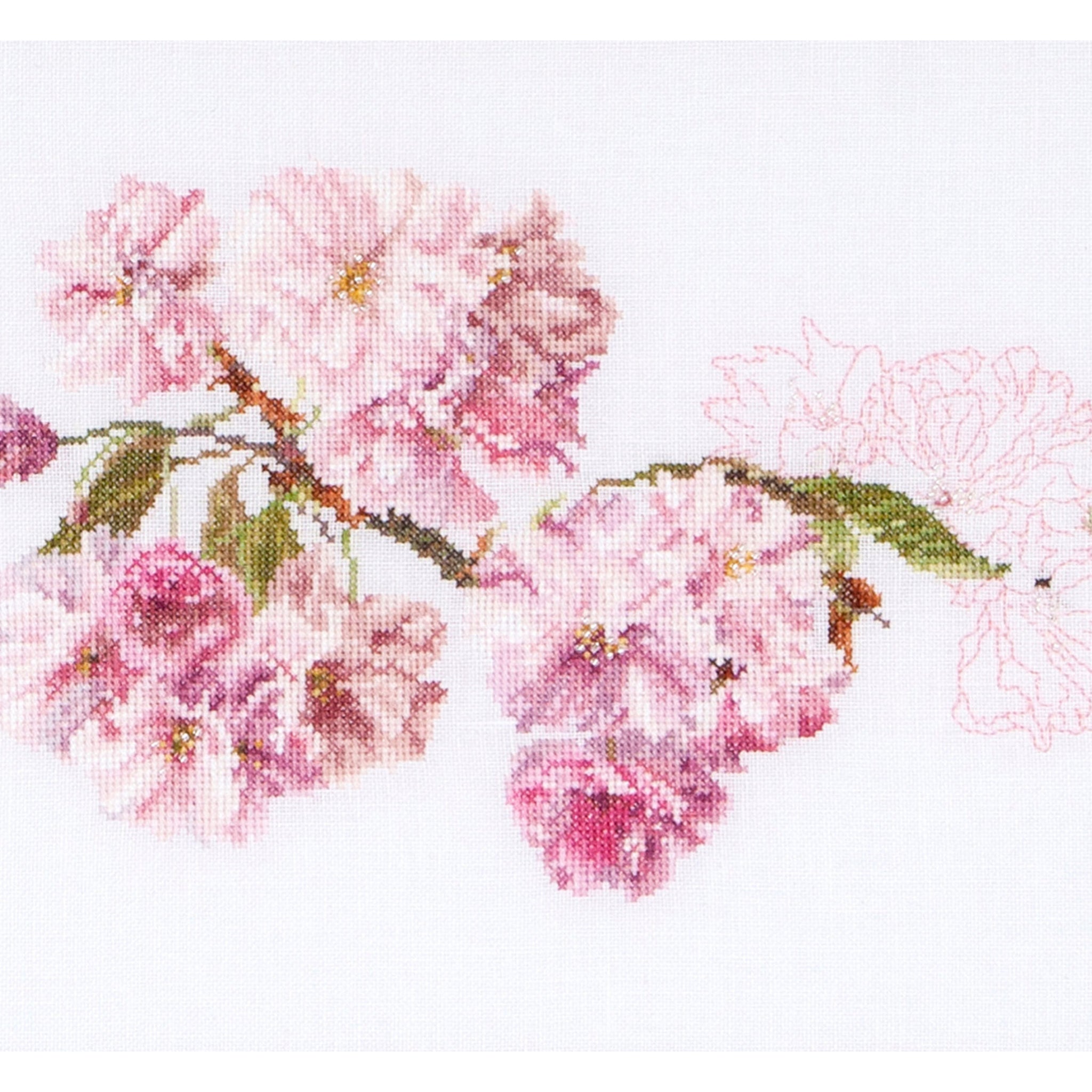 Prunus  - Aida - 18 - 512A-Thea Gouverneur Since 1959