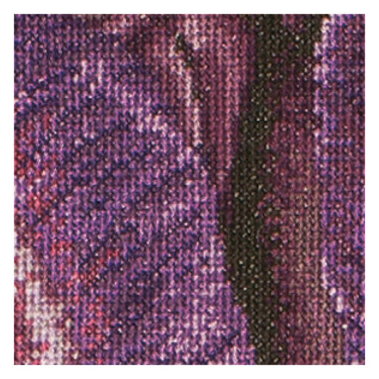 Purple Triumph Tulip - Aida - 16 - 514A