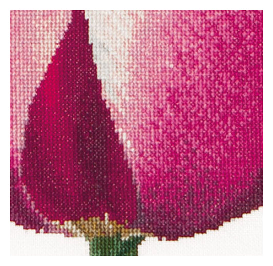 Red/White Triumph Tulip - Linen - 32 - 517