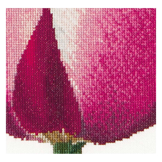 Red/White Triumph Tulip - Linen - 32 - 517