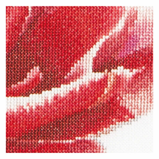 Close-up of red and white tulip cross stitch