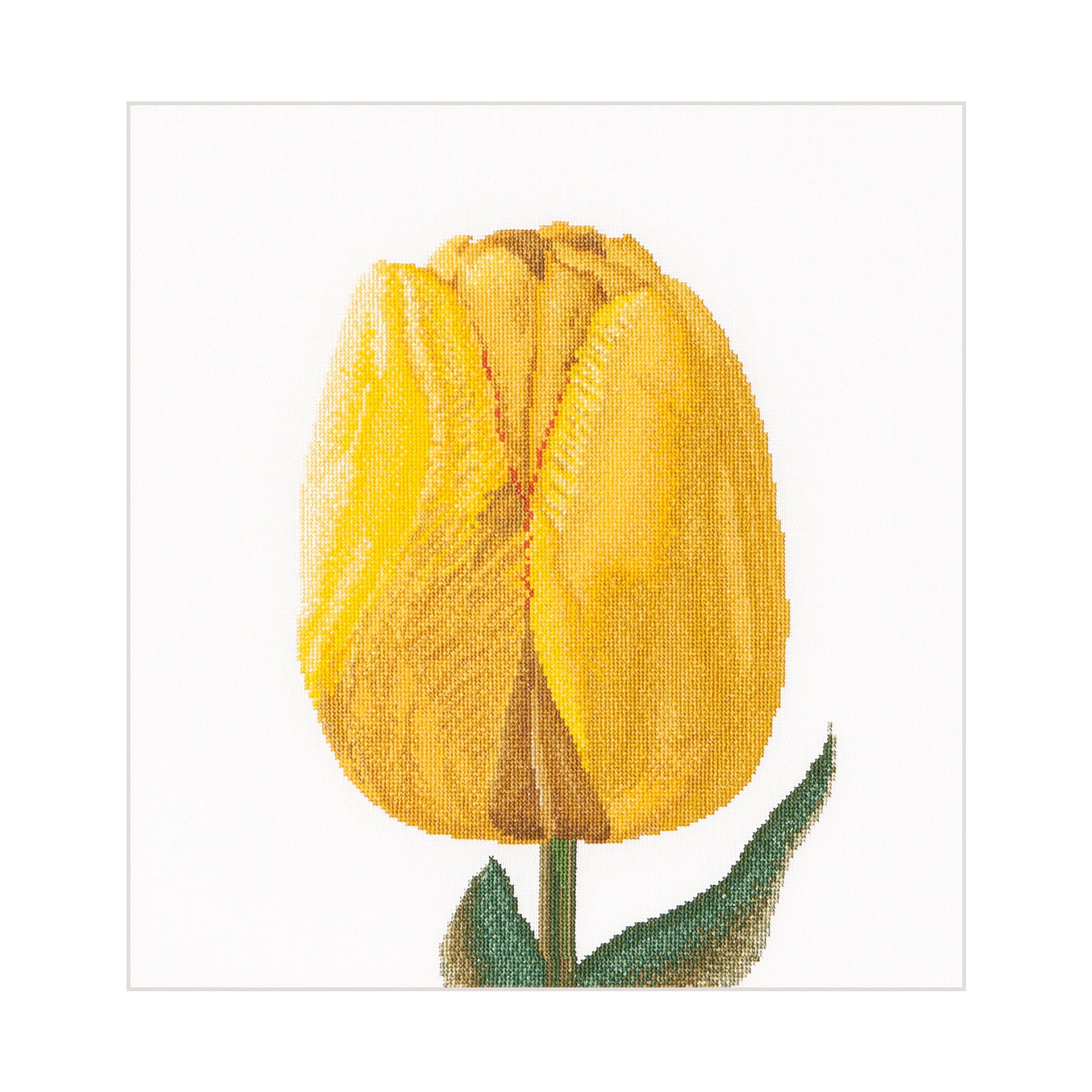 Yellow Hybrid Tulip - Linen - 32 - 522-Thea Gouverneur Since 1959