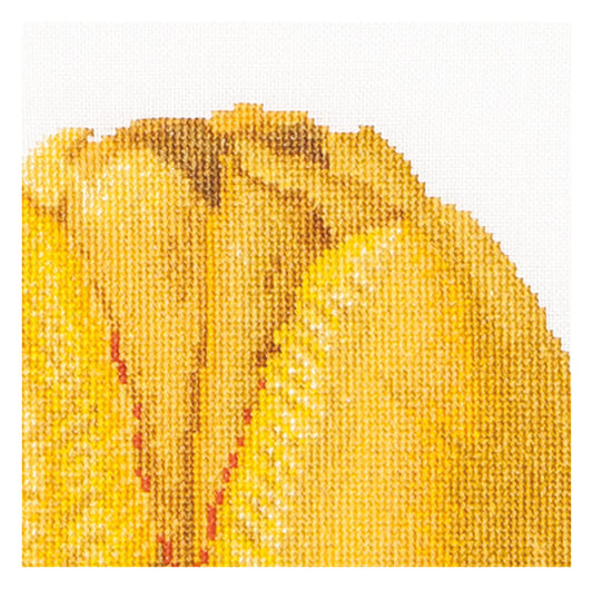 Yellow Hybrid Tulip - Linen - 32 - 522-Thea Gouverneur Since 1959