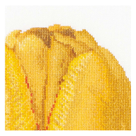 yellow hybrid tulip flower close up cross stitch