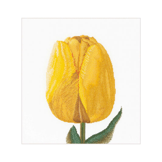 yellow hybrid tulip flower cross stitch