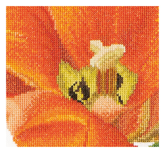 Orange Triumph Tulip - Linen - 32 - 523-Thea Gouverneur Since 1959
