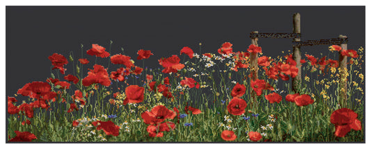 Poppies - Aida Black - 18 - 546.05