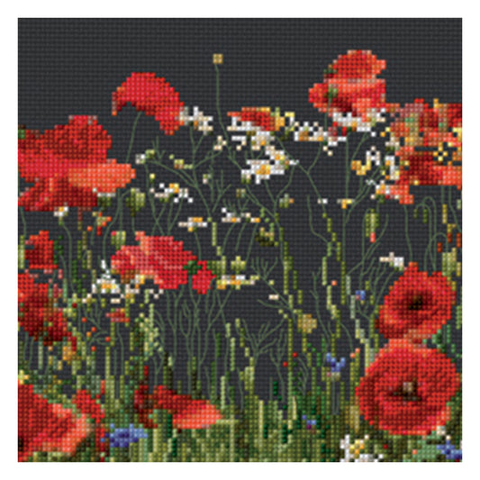 Poppies - Aida Black - 18 - 546.05