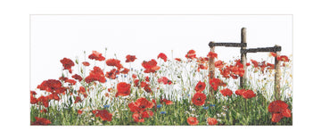 Poppies  - Aida - 18 - 546A
