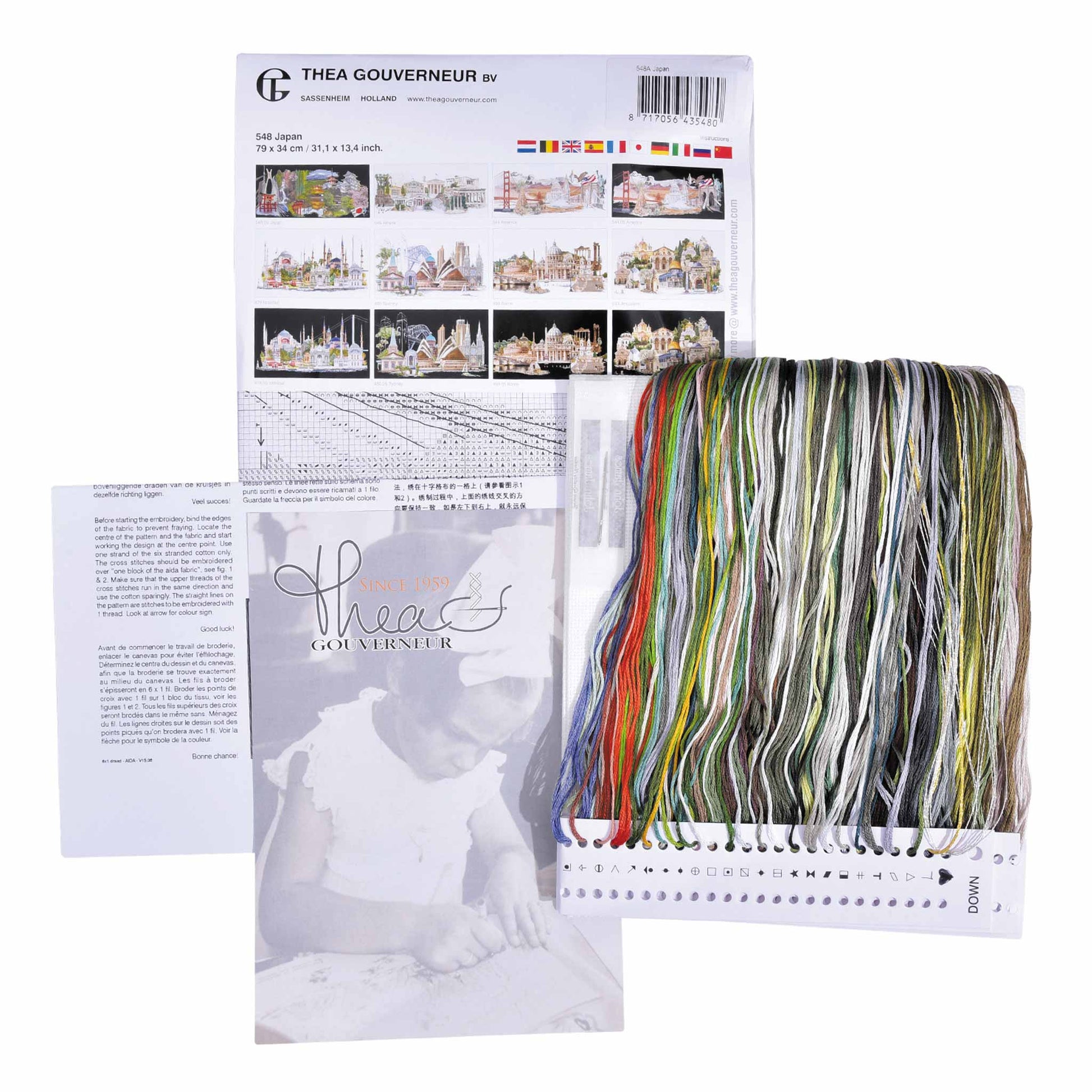 Embroidery kit content: Aida needlework fabrics, printed chart, colorful dmc embroidery threads presorted on the floss organizer