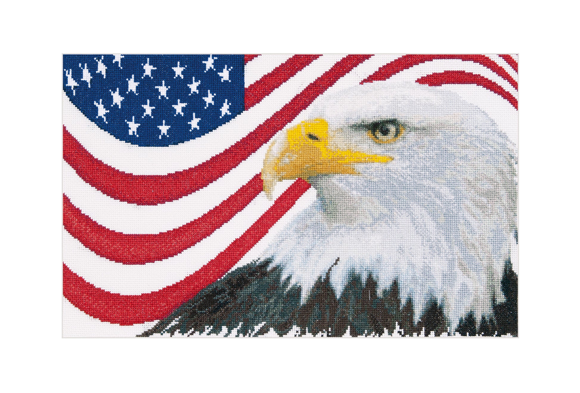American Eagle - Aida - 14 - 550A-Thea Gouverneur Since 1959