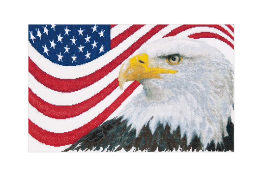 American Eagle - Aida - 14 - 550A
