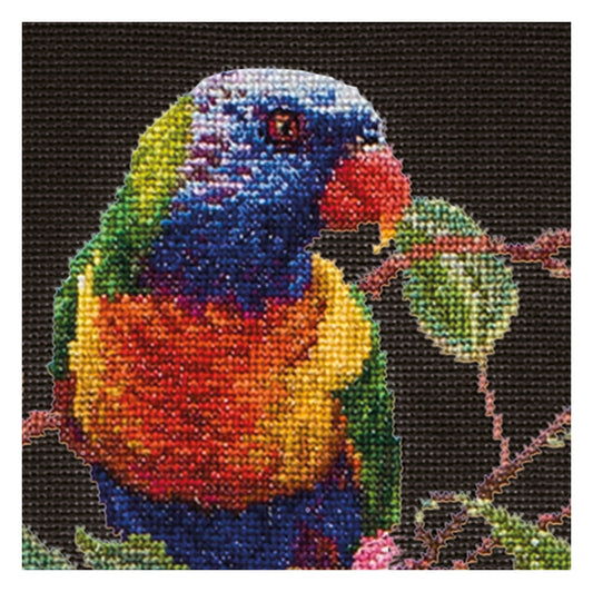 Lorrikeets - Aida Black - 16 - 553.05