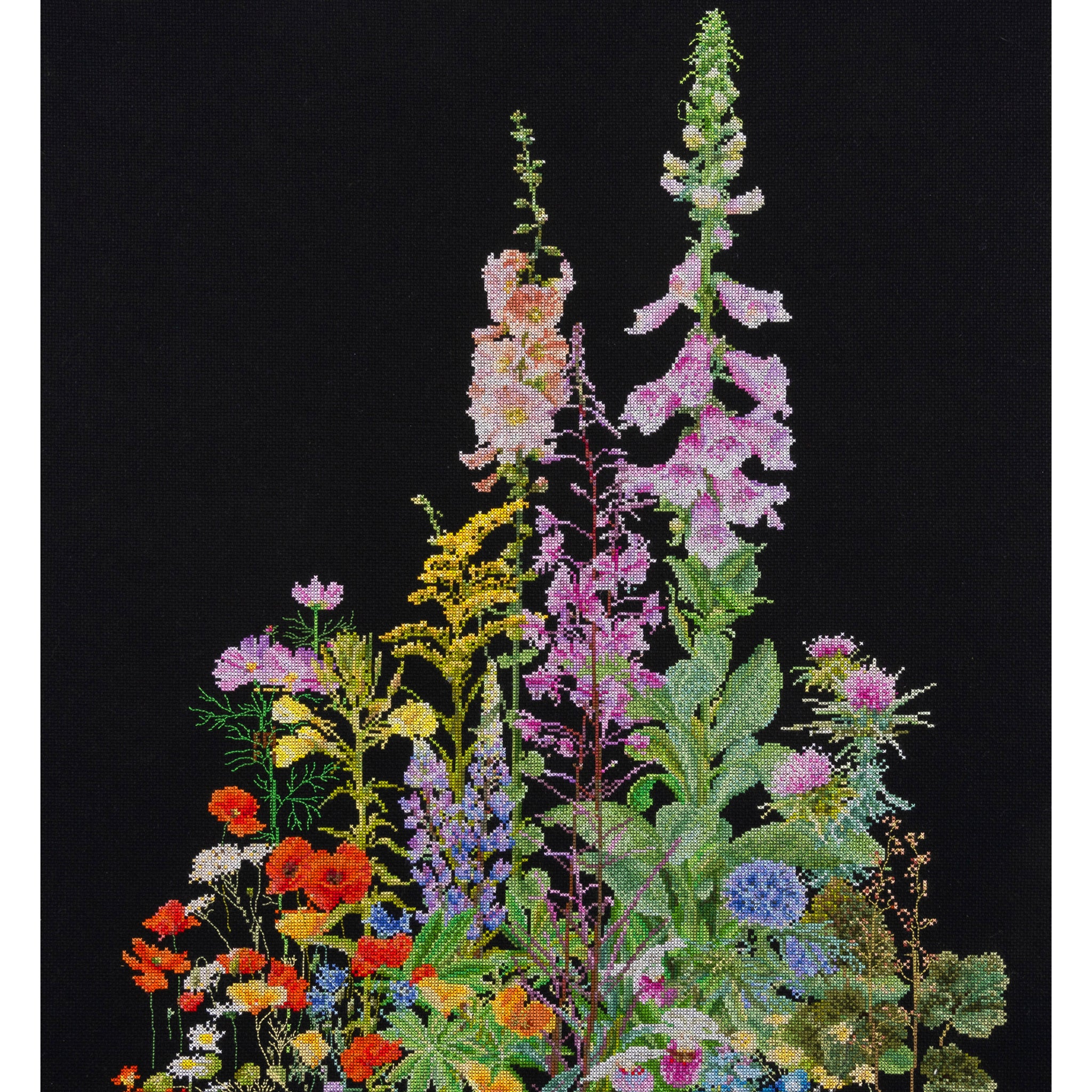 American Wild Flowers - Aida Black - 16 - 554.05