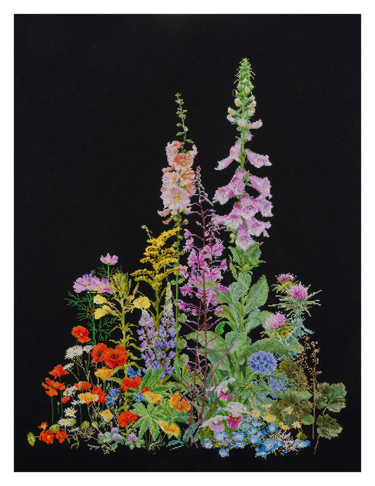 American Wild Flowers - Aida Black - 16 - 554.05