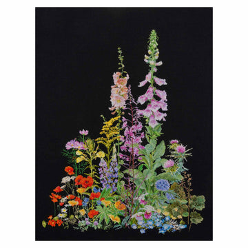 Fleurs sauvages américaines - Aida Black - 16 - 554,05