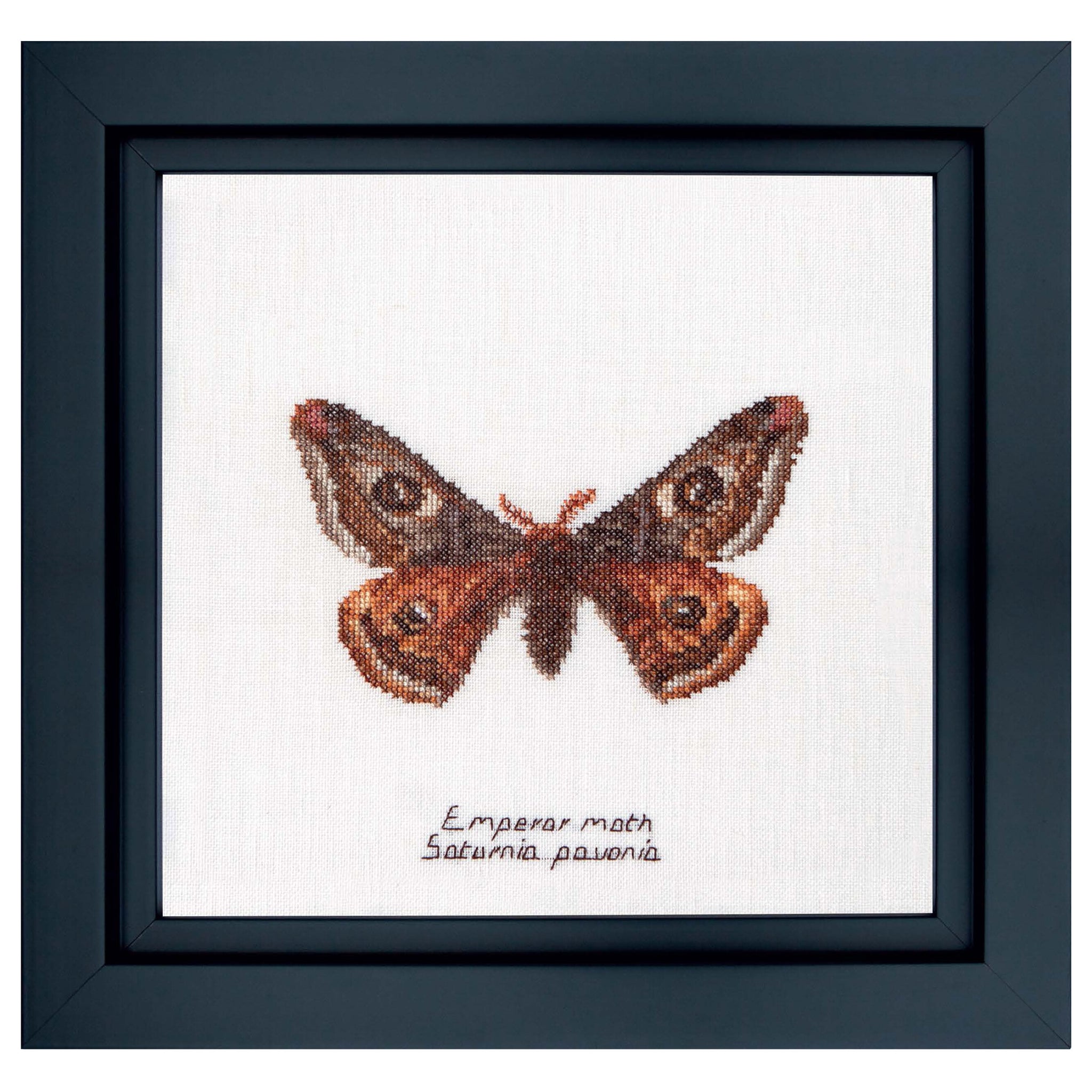 Emperor moth - Linen - 32 - 562