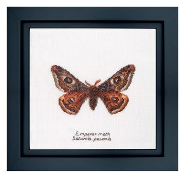 Emperor moth - Linen - 32 - 562