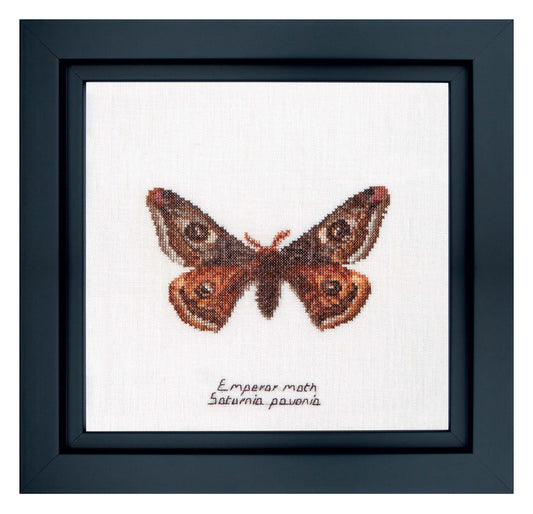 Emperor moth - Linen - 32 - 562