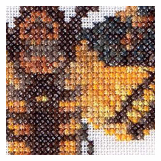 Counted Cross Stitch Kit Butterfly Death's head Hawk moth close up