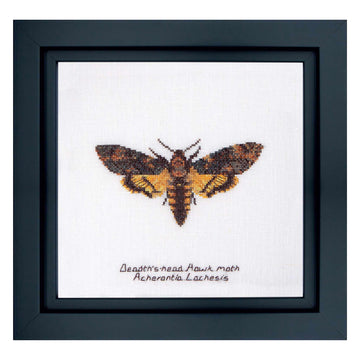 Counted Cross Stitch Kit Butterfly Death's head Hawk moth