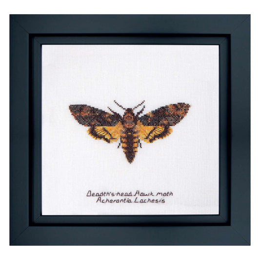 Counted Cross Stitch Kit Butterfly Death's head Hawk moth