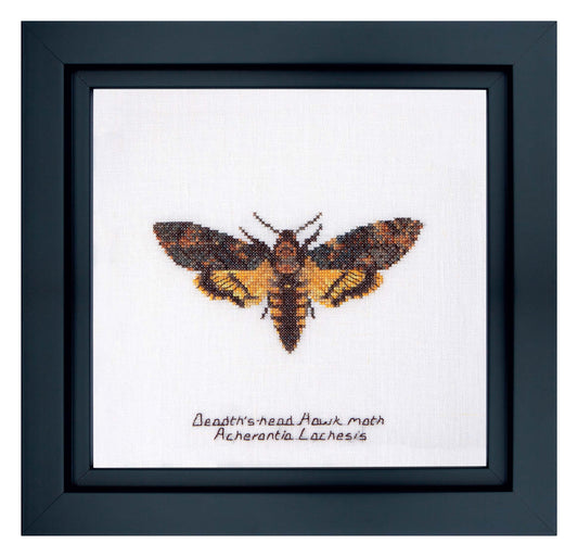 Death's-head Hawk moth - Linen - 32 - 563
