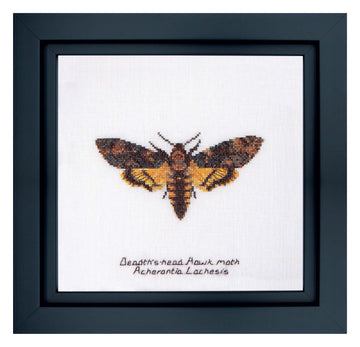 Death's-head Hawk moth - Linen - 32 - 563