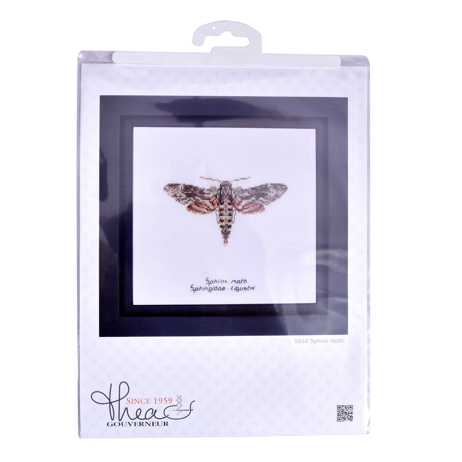 Sphinx moth - Aida - 16 - 564A-Thea Gouverneur Since 1959