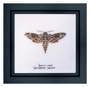 Sphinx moth - Linen - 32 count - 564