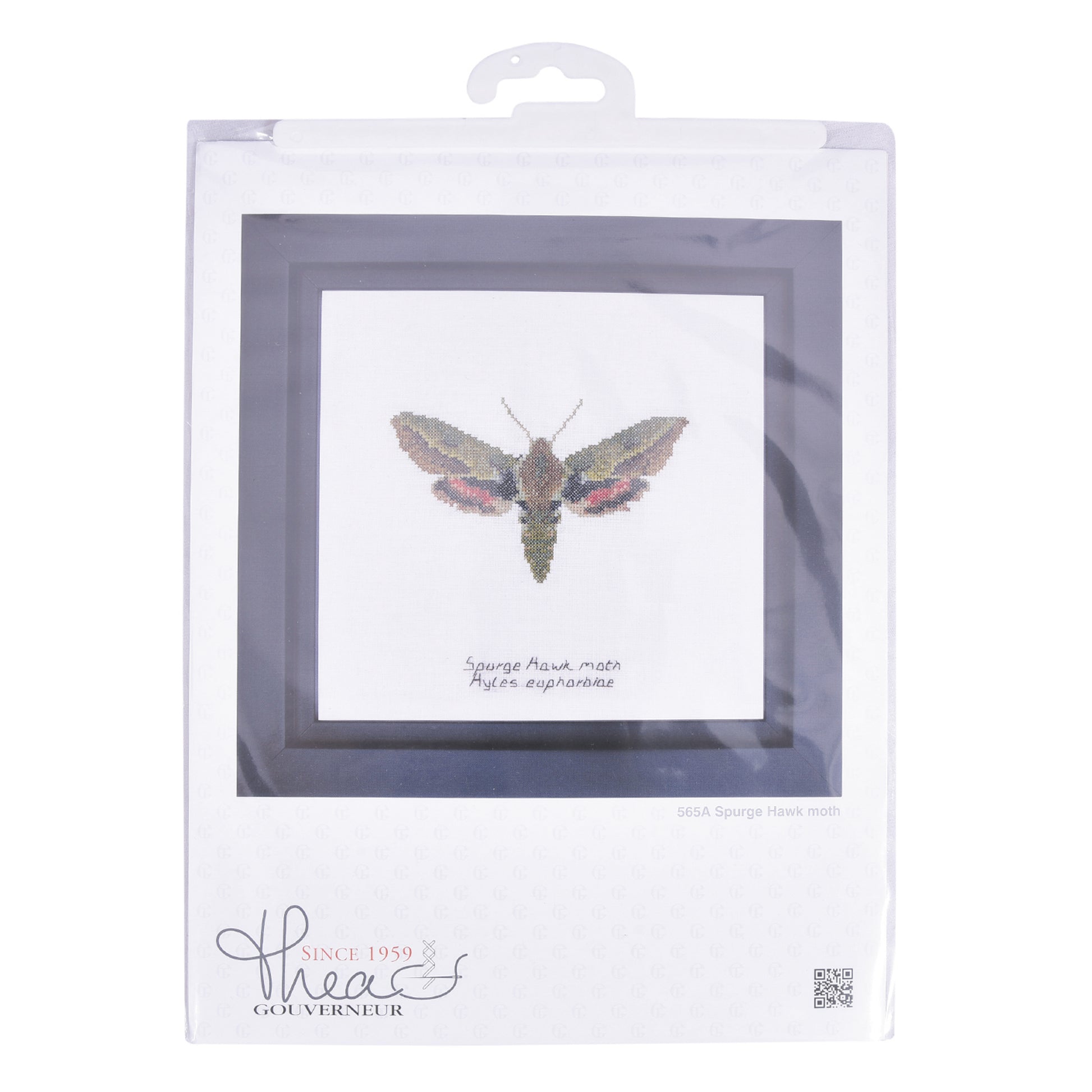 Spurge Hawk moth - Aida - 16 - 565A-Thea Gouverneur Since 1959