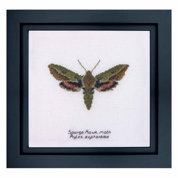 Counted Cross Stitch Kit Spurge Hawk moth